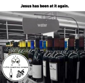Wine Memes Galore